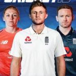 Cricket 19